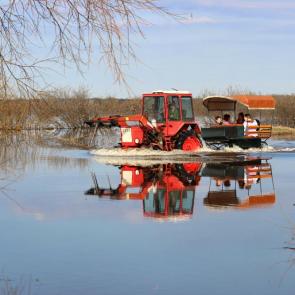 ����: ���������