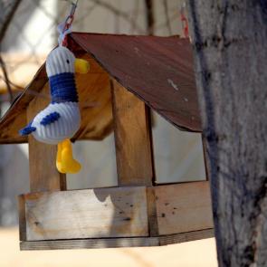 ����: ������� ���������