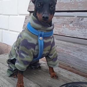 ����: ���� ��������� 