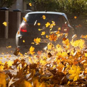 ���� ��������: ������ �����