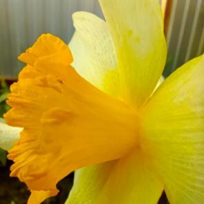 ����: �������. ���������