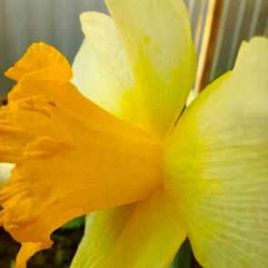 ����: ������ �������� ������� 