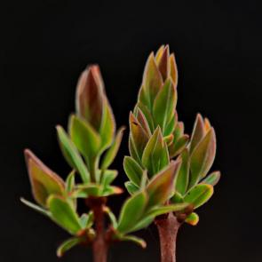 ����: �����. 