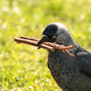 ����: � ��������� �� ����������. 