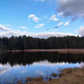 ����: ������ ������. 