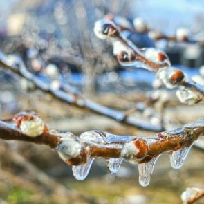 ����: ����� ��������� �������� �����