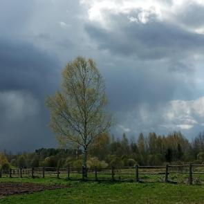 ����: ����� �����