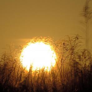 ����: �������� �������