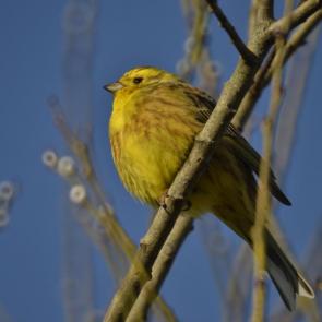 ���� ��������: ����� ��������� 