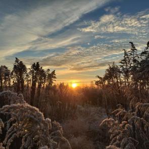 ����: ������� ������� 