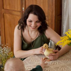 ����: �����