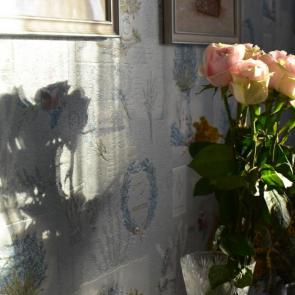 ����: � ���������� ����