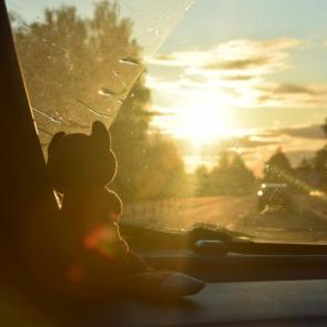 ����: �������� ��� ����� 9 ���