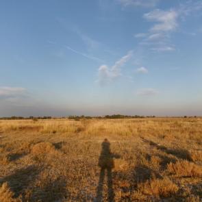 ����: ������� �������