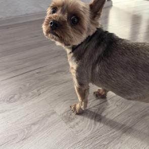 ����: ������