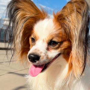 ����: ��� ������!