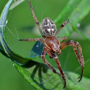 ����: ���� ���� �� �����