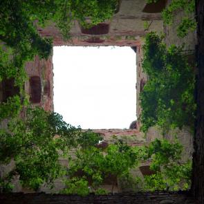 ����: �����