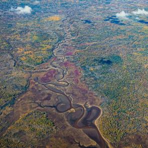 ����: ���������� ����