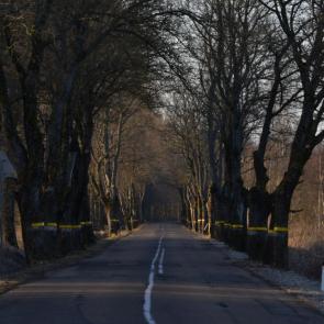 ����: ������