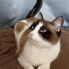 ����: ����� ������ 