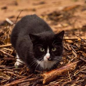 ����: ��������� ���)))