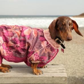 ����: � �� ���� ��������?