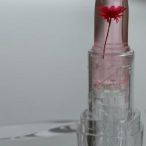 ����: ���������� � ������� 