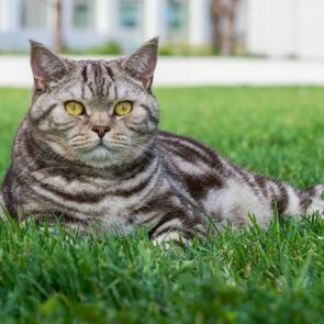 ����: �� �������� 