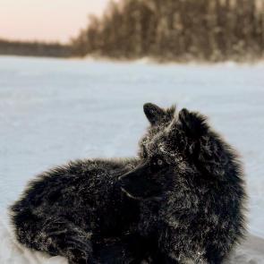 ����: �� �������