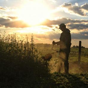 ����: ������ �������