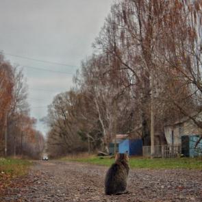 ����: �� ������ ����� ���....