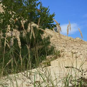 ���� ��������: ������������ ������