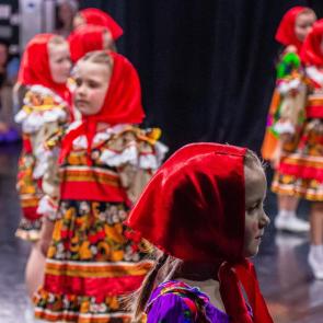 ����: ��������