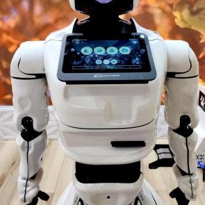 ����: �����