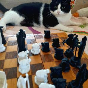 ����: �����������