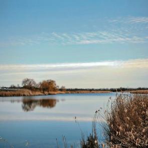 ����: ���� ������