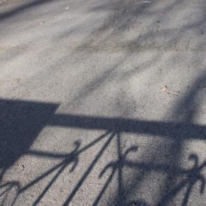 ���� ��������: ����������� ���� �����