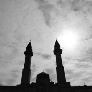 ����: ������