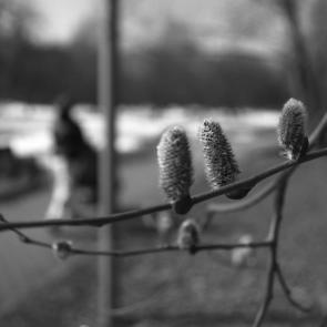 ����: �����