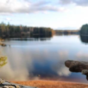 ����: ������