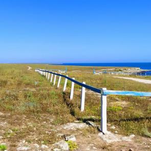 ����: ���������. ����