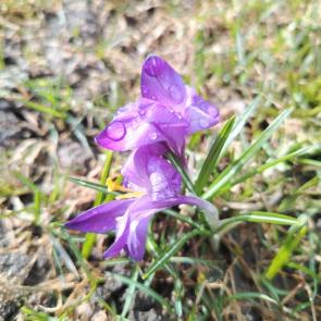 ����: ����� �����