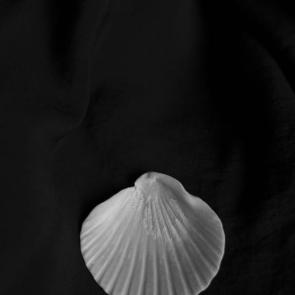 ����: �,����