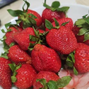 ���� ��������: 