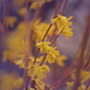 ����: �������� ������. 