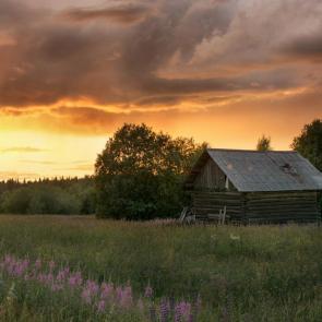 ����: ����� �����