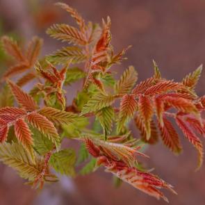 ����: �������� �������������. 