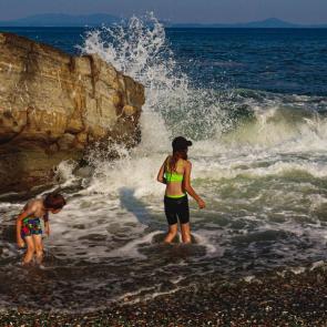 ����: ������ ����� 