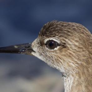 ����: ������� ������ � ��������� � �����